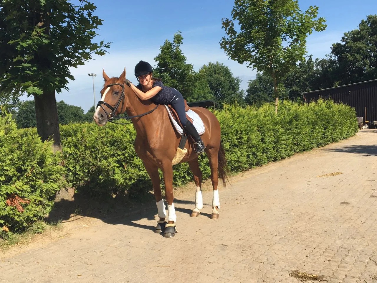 A rider leaning forward to embrace her chestnut horse outdoors